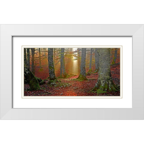 Forest and sunbeam 820 White Modern Wood Framed Art Print with Double Matting by Palacios, J.A.