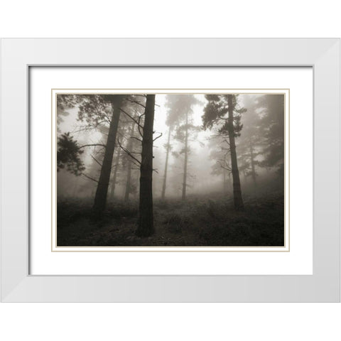 Invasion White Modern Wood Framed Art Print with Double Matting by Vera, Urtzi