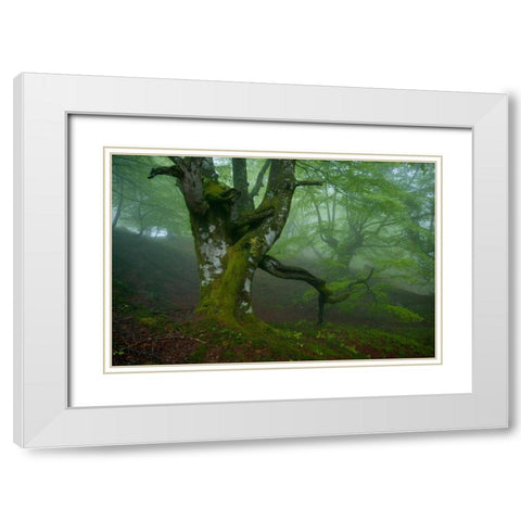 Spring White Modern Wood Framed Art Print with Double Matting by Vera, Urtzi