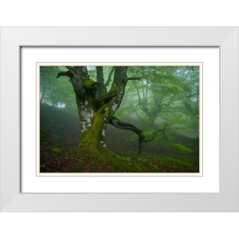 Spring White Modern Wood Framed Art Print with Double Matting by Vera, Urtzi