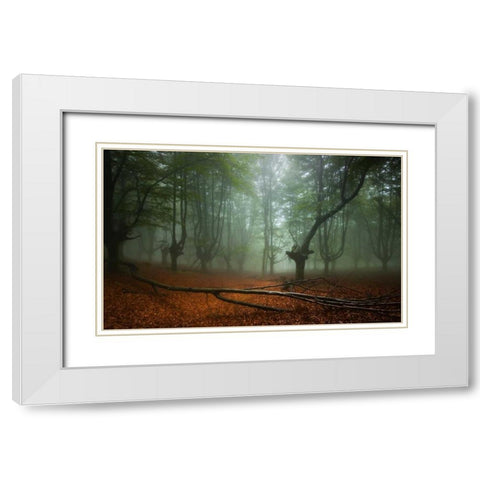 Spring II White Modern Wood Framed Art Print with Double Matting by Vera, Urtzi