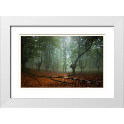 Spring II White Modern Wood Framed Art Print with Double Matting by Vera, Urtzi