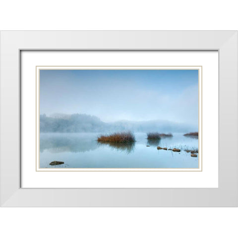 Blue dreams White Modern Wood Framed Art Print with Double Matting by Vera, Urtzi