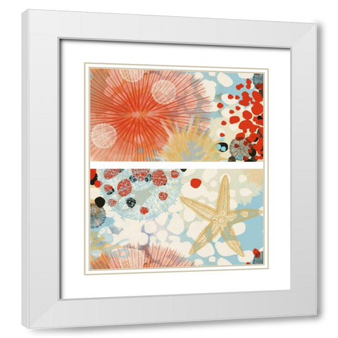 Butterfly MÃ©lange I White Modern Wood Framed Art Print with Double Matting by Unknown