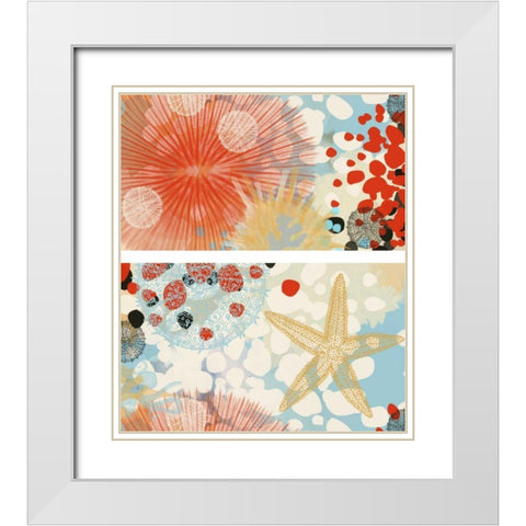 Butterfly MÃ©lange I White Modern Wood Framed Art Print with Double Matting by Unknown