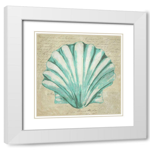 Seafoam Shell II White Modern Wood Framed Art Print with Double Matting by Zarris, Chariklia