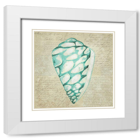 Seafoam Shell IV White Modern Wood Framed Art Print with Double Matting by Zarris, Chariklia