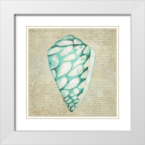 Seafoam Shell IV White Modern Wood Framed Art Print with Double Matting by Zarris, Chariklia