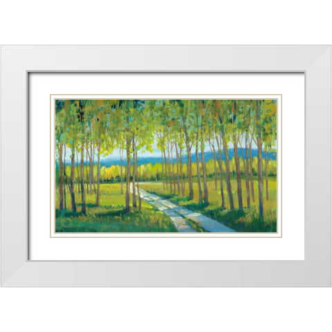 Morning Stroll II White Modern Wood Framed Art Print with Double Matting by OToole, Tim