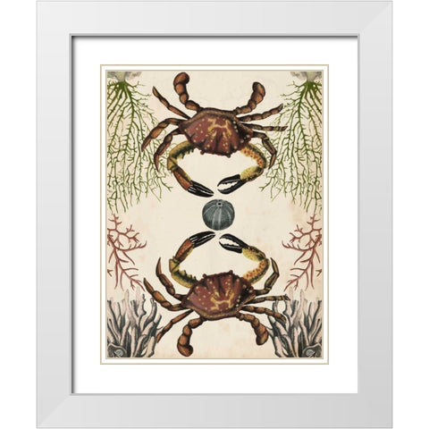 Antiquarian Menagerie - Crab White Modern Wood Framed Art Print with Double Matting by McCavitt, Naomi
