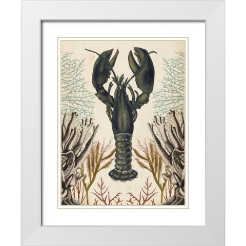 Antiquarian Menagerie - Lobster White Modern Wood Framed Art Print with Double Matting by McCavitt, Naomi