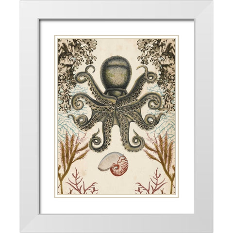 Antiquarian Menagerie - Octopus White Modern Wood Framed Art Print with Double Matting by McCavitt, Naomi