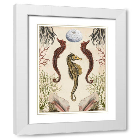 Antiquarian Menagerie - Seahorse White Modern Wood Framed Art Print with Double Matting by McCavitt, Naomi