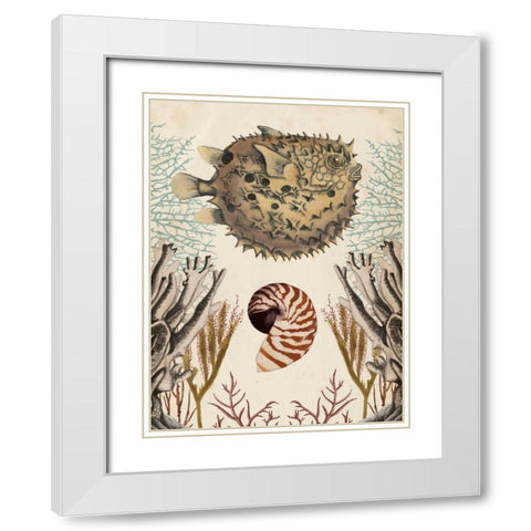 Antiquarian Menagerie - Puffer Fish White Modern Wood Framed Art Print with Double Matting by McCavitt, Naomi