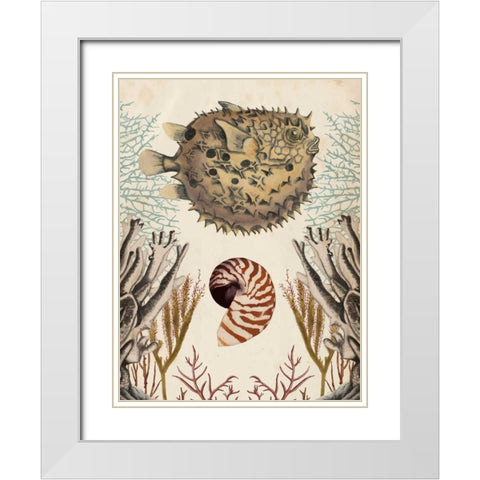 Antiquarian Menagerie - Puffer Fish White Modern Wood Framed Art Print with Double Matting by McCavitt, Naomi