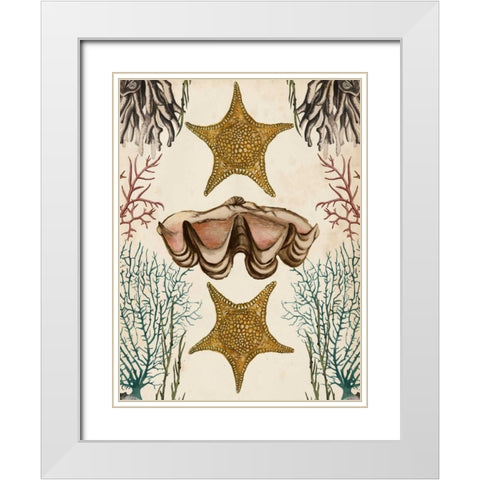 Antiquarian Menagerie - Starfish White Modern Wood Framed Art Print with Double Matting by McCavitt, Naomi