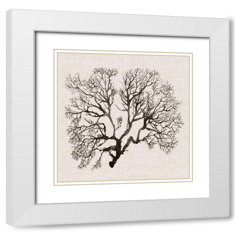 Shadow Sea Fan III White Modern Wood Framed Art Print with Double Matting by Popp, Grace