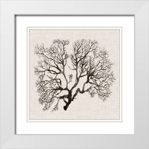 Shadow Sea Fan III White Modern Wood Framed Art Print with Double Matting by Popp, Grace