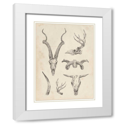 Skull and Antler Study I White Modern Wood Framed Art Print with Double Matting by Harper, Ethan