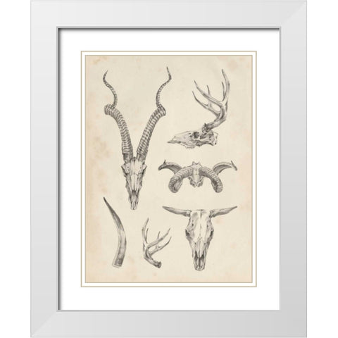 Skull and Antler Study I White Modern Wood Framed Art Print with Double Matting by Harper, Ethan