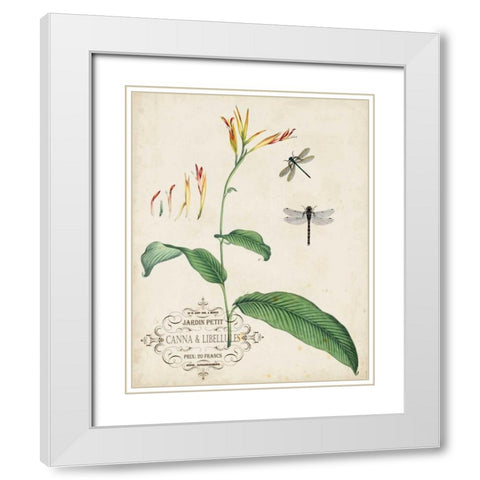 Canna and Dragonflies I White Modern Wood Framed Art Print with Double Matting by Vision Studio