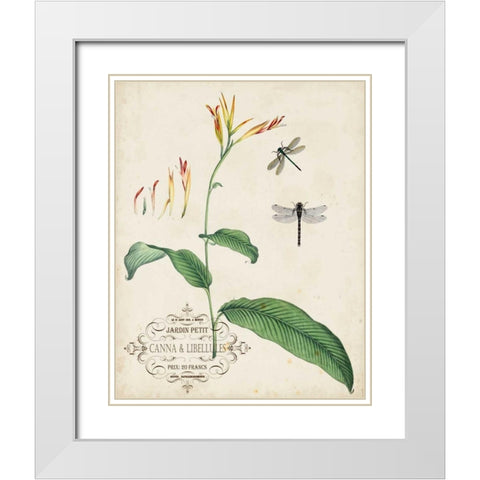 Canna and Dragonflies I White Modern Wood Framed Art Print with Double Matting by Vision Studio