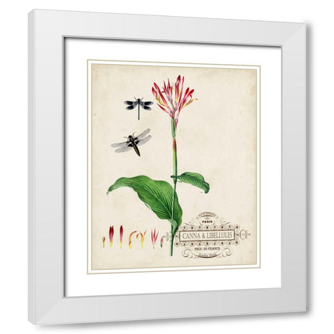 Canna and Dragonflies II White Modern Wood Framed Art Print with Double Matting by Vision Studio