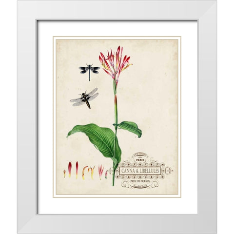 Canna and Dragonflies II White Modern Wood Framed Art Print with Double Matting by Vision Studio