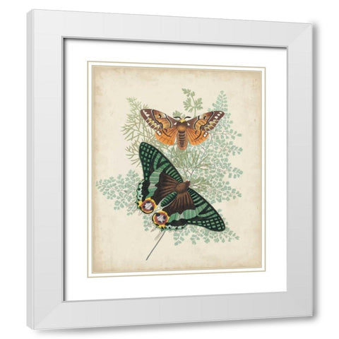 Butterflies and Ferns I White Modern Wood Framed Art Print with Double Matting by Vision Studio