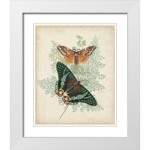 Butterflies and Ferns I White Modern Wood Framed Art Print with Double Matting by Vision Studio