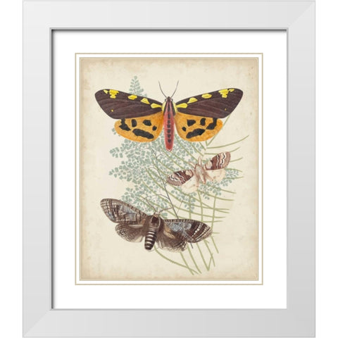 Butterflies and Ferns VI White Modern Wood Framed Art Print with Double Matting by Vision Studio