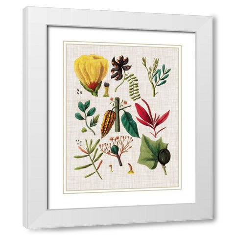 Floral Assemblage I White Modern Wood Framed Art Print with Double Matting by Vision Studio