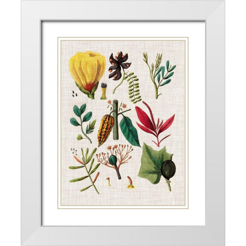 Floral Assemblage I White Modern Wood Framed Art Print with Double Matting by Vision Studio