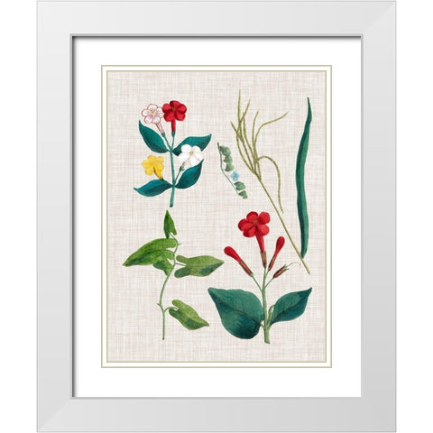 Floral Assemblage III White Modern Wood Framed Art Print with Double Matting by Vision Studio