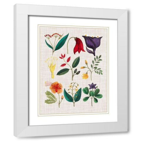 Floral Assemblage IV White Modern Wood Framed Art Print with Double Matting by Vision Studio