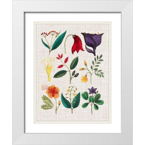 Floral Assemblage IV White Modern Wood Framed Art Print with Double Matting by Vision Studio