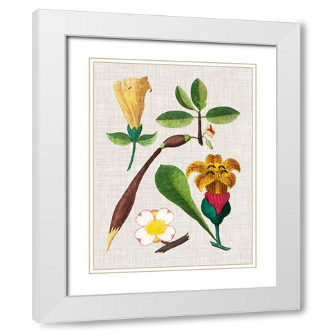 Floral Assemblage V White Modern Wood Framed Art Print with Double Matting by Vision Studio
