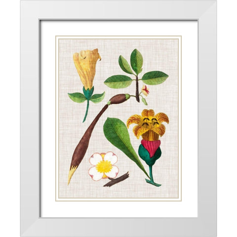 Floral Assemblage V White Modern Wood Framed Art Print with Double Matting by Vision Studio