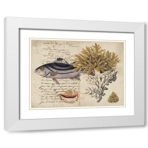 Sealife Journal III White Modern Wood Framed Art Print with Double Matting by Vision Studio