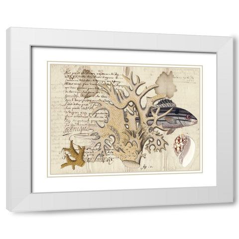 Sealife Journal IV White Modern Wood Framed Art Print with Double Matting by Vision Studio