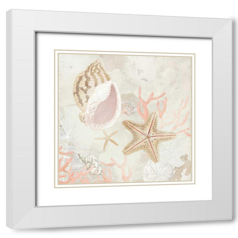 Shell Collector Fresco II White Modern Wood Framed Art Print with Double Matting by Vess, June Erica