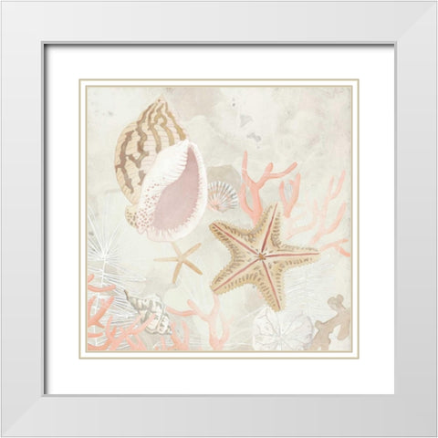Shell Collector Fresco II White Modern Wood Framed Art Print with Double Matting by Vess, June Erica