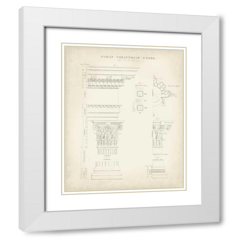 Greek and Roman Architecture II White Modern Wood Framed Art Print with Double Matting by Kelly, Thomas