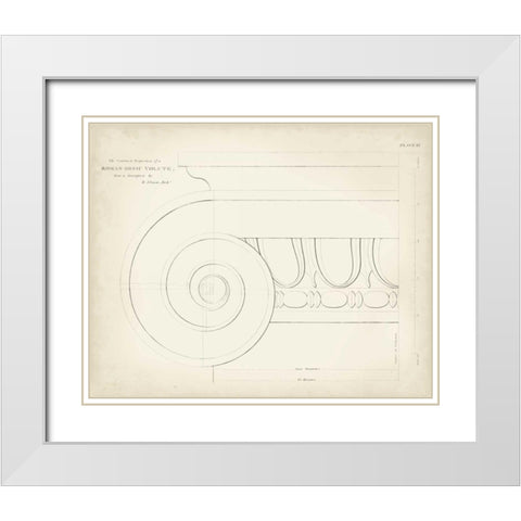 Greek and Roman Architecture VII White Modern Wood Framed Art Print with Double Matting by Kelly, Thomas