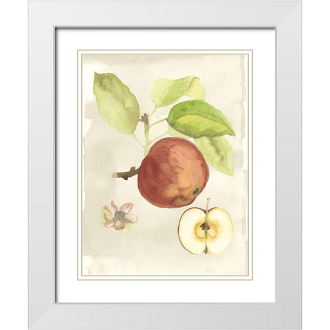 Custom Watercolor Fruit IV (ASH) White Modern Wood Framed Art Print with Double Matting by McCavitt, Naomi