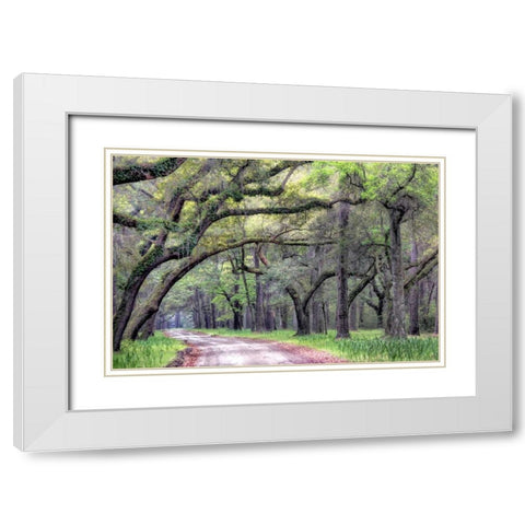 Dirt Road I White Modern Wood Framed Art Print with Double Matting by Head, Danny
