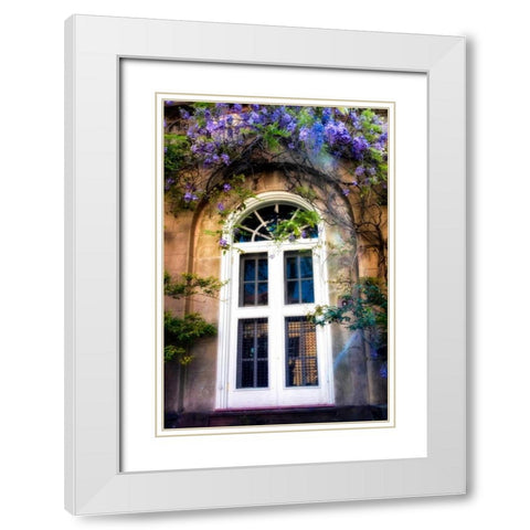 Wisteria White Modern Wood Framed Art Print with Double Matting by Head, Danny
