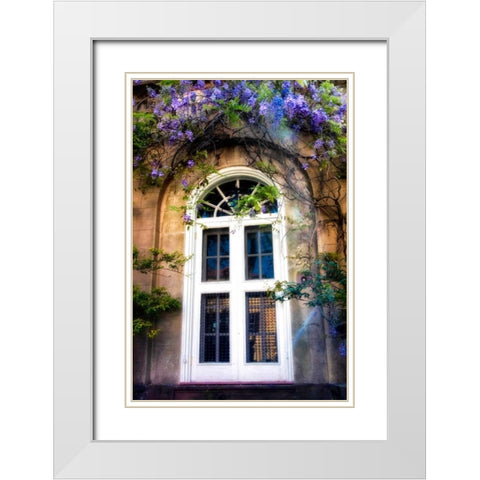 Wisteria White Modern Wood Framed Art Print with Double Matting by Head, Danny