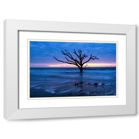All that Remains White Modern Wood Framed Art Print with Double Matting by Head, Danny