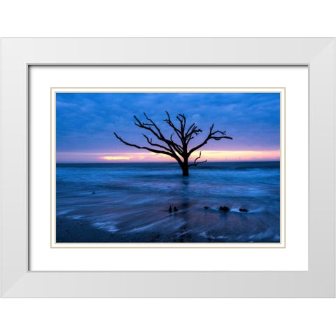 All that Remains White Modern Wood Framed Art Print with Double Matting by Head, Danny